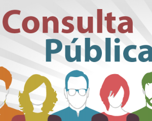 consulta-publica_(484).png